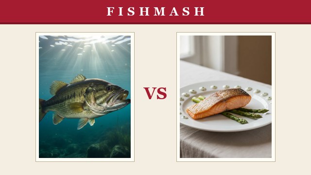 FishMash: Chad the largemouth bass versus a plated salmon fillet, a crimson VS between them
